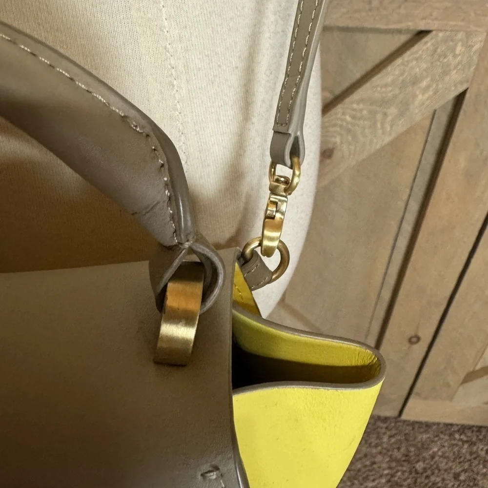 Zac Zac Posen Eartha mini crossbody bag